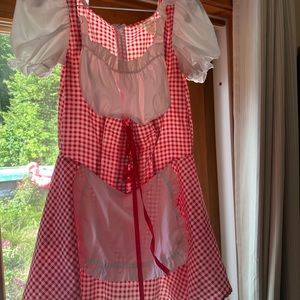 Red riding hood / beer maid costume